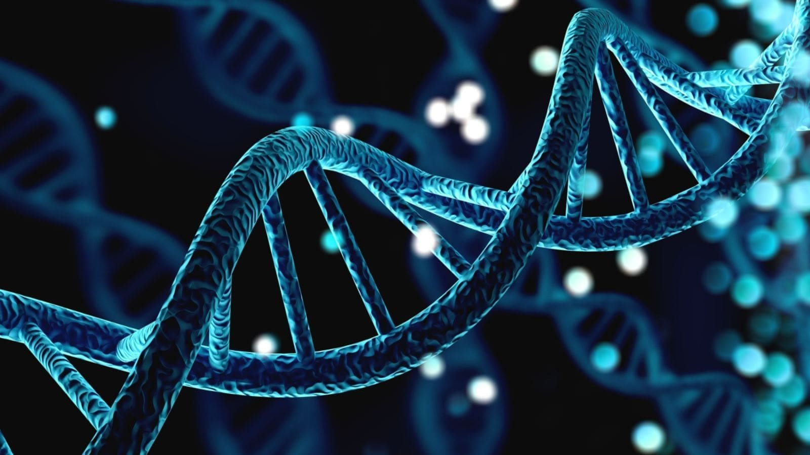 DNA structure